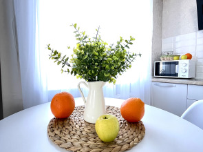 Квартира Скандинавия на Набережной Городского пруда