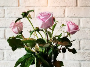 Апартаменты на Волгоградском проспекте