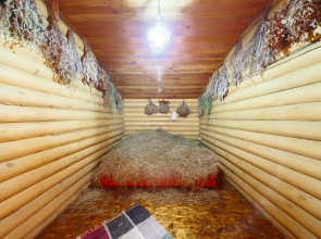 Гостевой дом Отрада