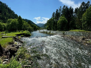 Частный дом «Тялан»