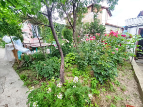 Жилое помещение  Chekhov19