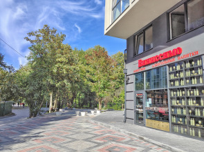 Апартаменты Baden SPA с морским бассейном