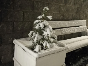 Гостевой дом Дач-Хаус