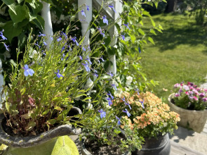 Дом для перезагрузки от города