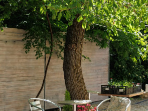 Гостевой Дом Горы и море