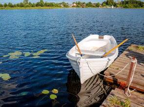 Глэмпинг Носороги
