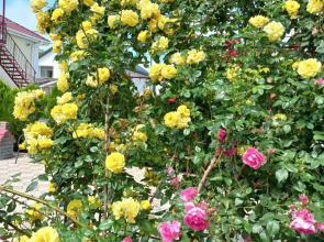 Мини-отель Якорь