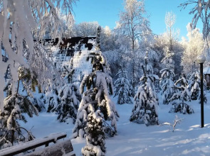 Отель Алино