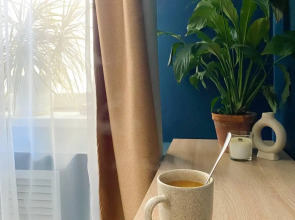 Апартаменты Тишина у Метро и Парка