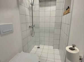 Меблированные комнаты Зубовском (6)