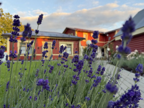 Гостевой дом Царедворье