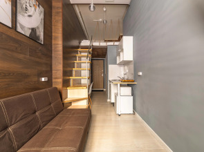 Апартаменты Plaum Hotel Студия 10 на Коломенской