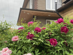 Гостевой Дом Апартаменты Александра