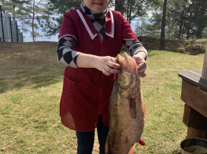 Гостевой дом Глаз орла