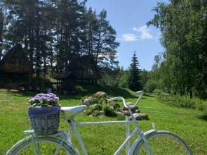 Гостевой дом Под соснами