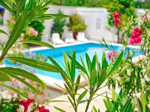 Гостевой дом Солнечный рай