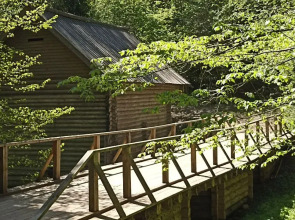 Квартира в Старинном Доме ХVIII Века