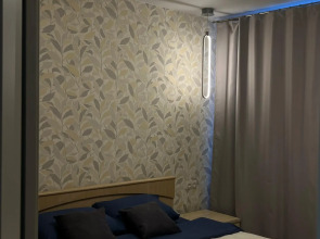 Квартира Ёлки зелёные в тихом центре Петрозаводска