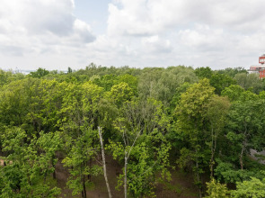 Квартира Fresh world