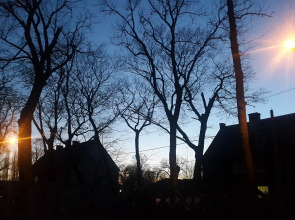 Гостевой дом Листья Травы