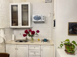 Апартаменты Слонъ на Загородном