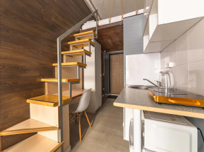 Апартаменты Plaum Hotel Студия 10 на Коломенской