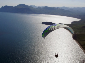 База отдыха Younge Art Camp