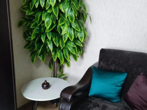 Квартира Двухкомнатная квартира ул Старых Большевиков