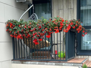 Апартаменты ОхтАпартЛюкс Мини с сауной и камином