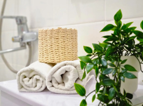 Апартаменты Бизнес класса Лимония