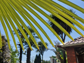 Гостевой дом Форелька