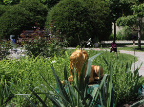 Отель Золотой Лев