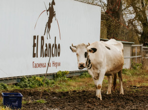 База отдыха Агротуристический комплекс Эль Ранчо
