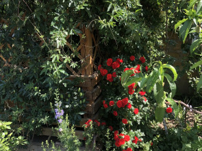 Zolotaya Rybka Sudak