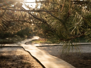 Глэмпинг Синий Яр