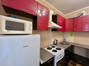 Апартаменты Однокомнатная квартира