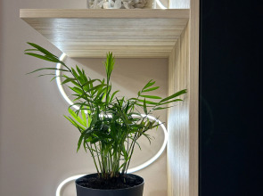 Квартира Студия Terakot