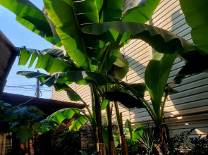 Гостевой дом Олимпия 2