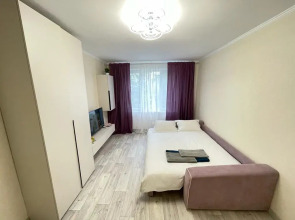 Квартира уютная на Академика Волгина