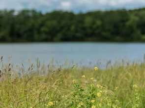 Глэмпинг Катин клёв