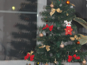 Апартаменты Студия