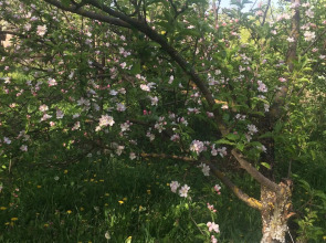 Гостевой Дом на Куйбышева