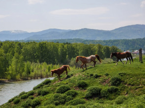 Частный дом Современный гостевой дом на слиянии рек Катунь и Кокса