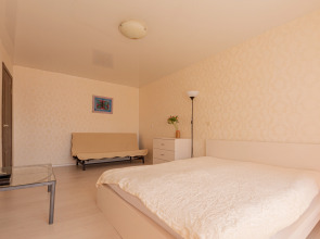 Апартаменты на ул.Белинского у Верхне-Волжской набережной