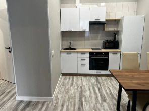 Апартаменты 096_Революционная 39/3 на Central Park с Джакузи и Кондиционером