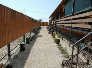 Гостевой Дом Ковчег