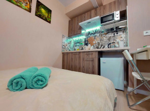 Апартаменты Jungle Studio