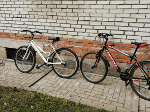 Гостевой дом Мариенбург Гатчина