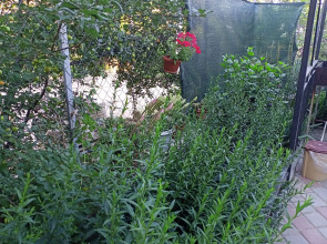 Гостевой Дом Snug House