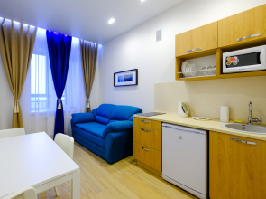 Апартаменты Петровские на Советской 90 (4)